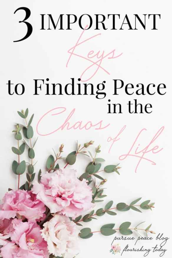 finding-peace-in-the-chaos-pin1-683x1024